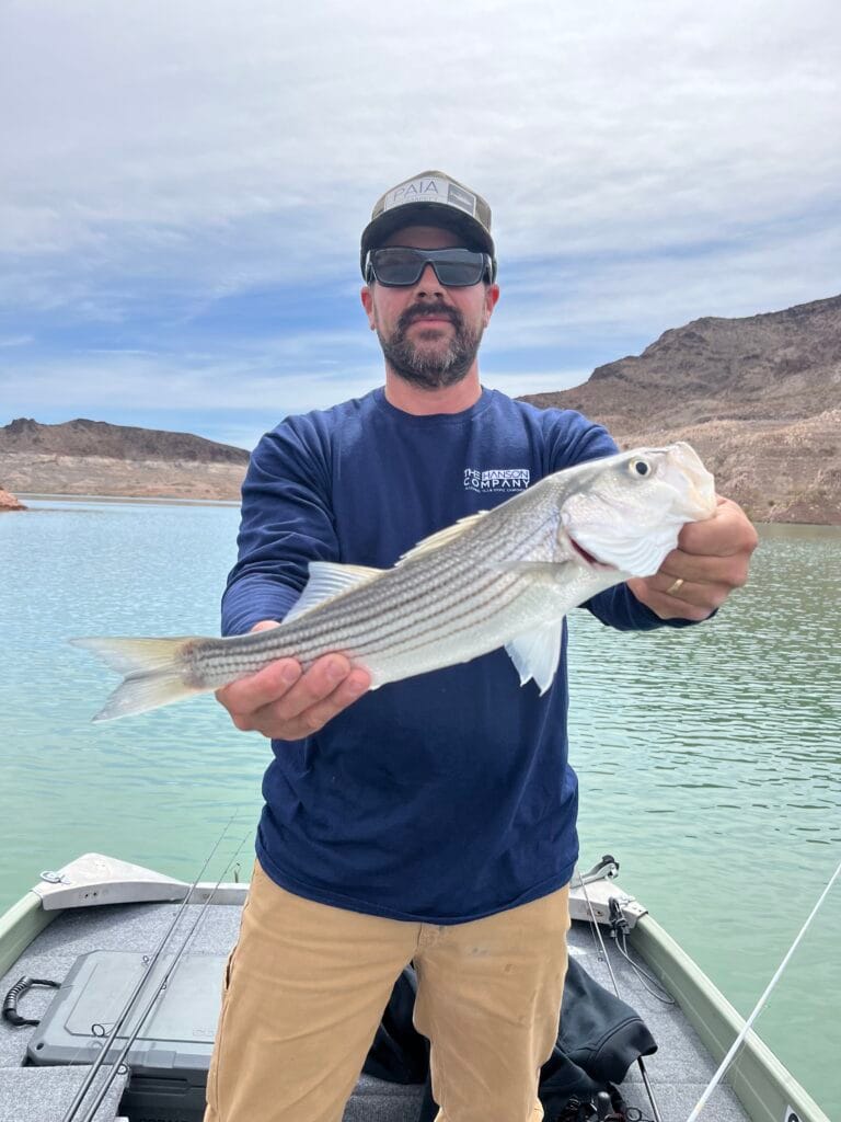 Bryan Hanson Home Remodeling Expert in Las Vegas